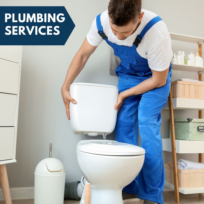 Plumbing Company in Lake George, MI